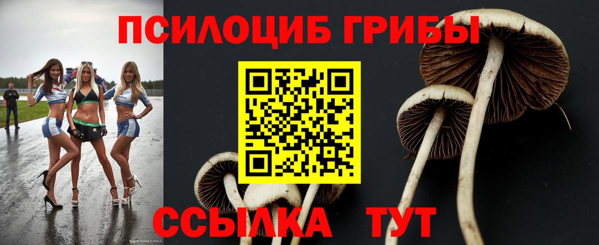 Галлюциногенные грибы Cubensis Алушта